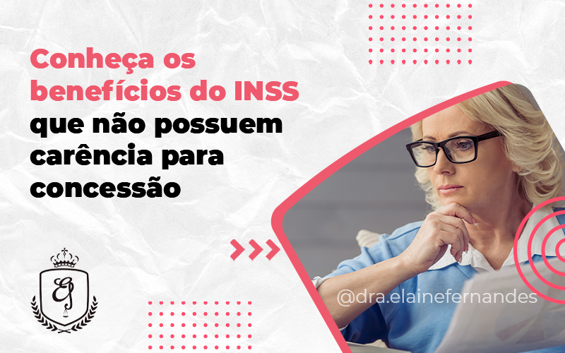 142 Elaine - Escritório de Advocacia em Várzea Paulista - SP | Dra Elaine Fernandes